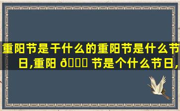 重阳节是干什么的重阳节是什么节日,重阳 🐟 节是个什么节日,干什么的